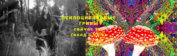 бутират Медвежьегорск