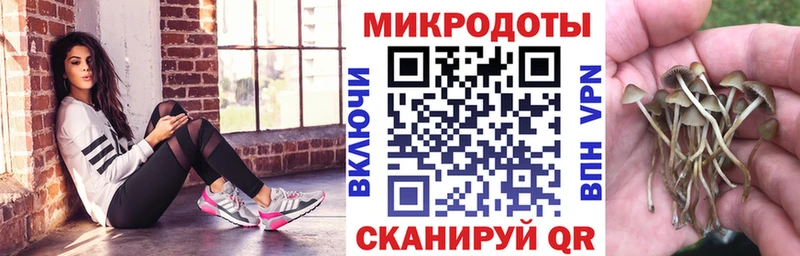 продажа наркотиков  Асбест  Галлюциногенные грибы Psilocybine cubensis 